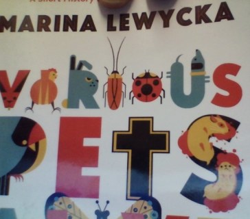 win_20170102_22_06_52_pro-2